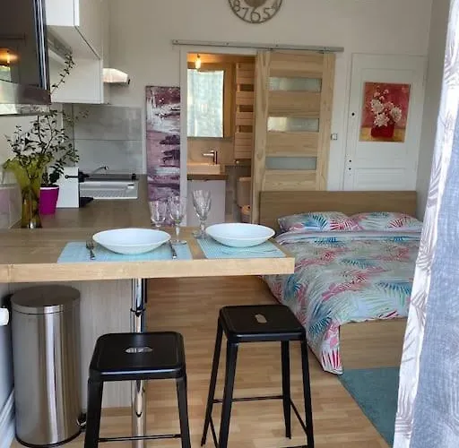 Le Cosy Tassin - Rez De Jardin